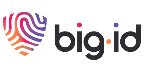 New-BigID-Logo